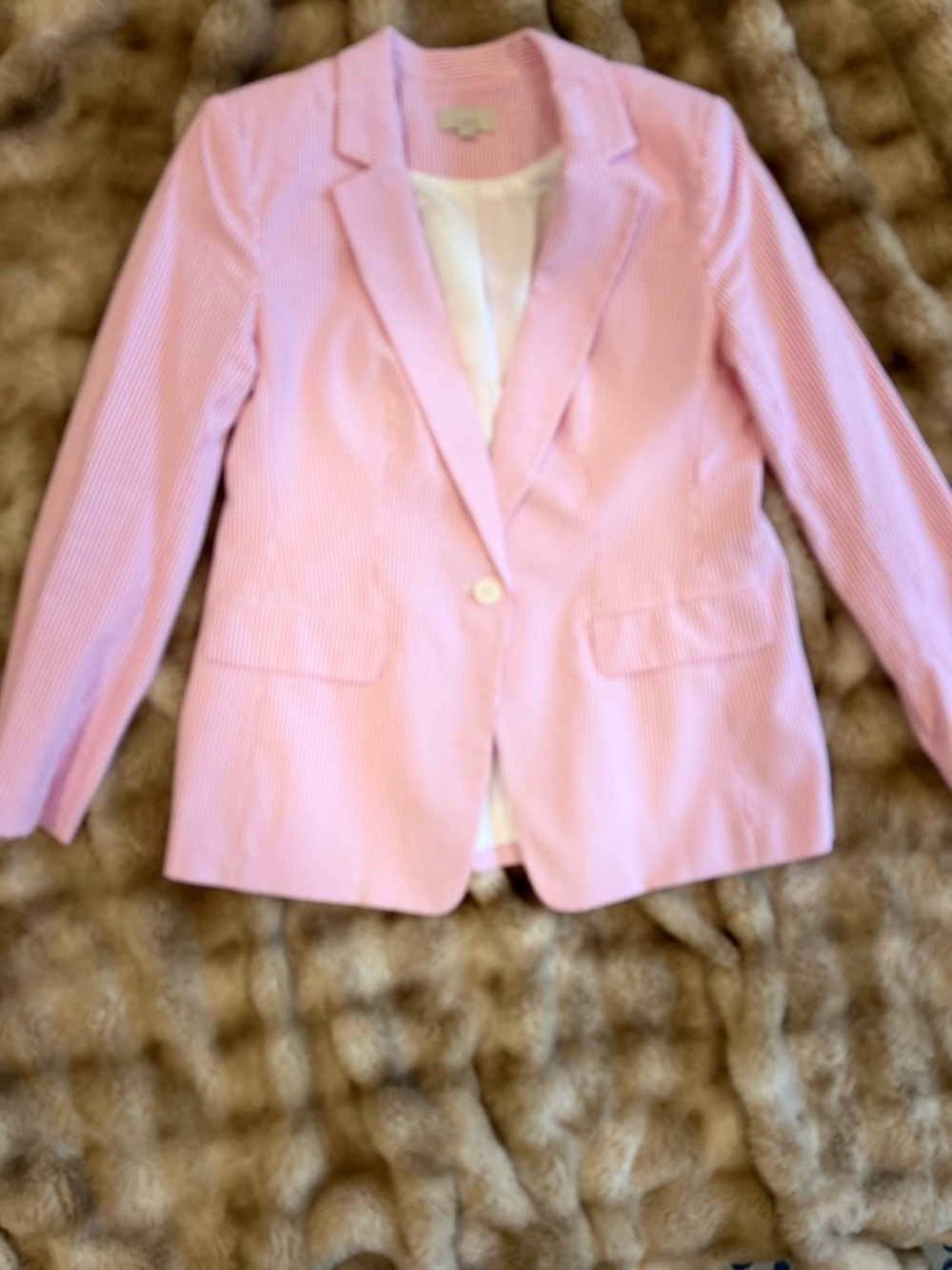 LOFT Pink Seersucker Blazer